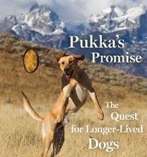 En su nuevo libro Ted Kerasote responde a preguntas como ¿Cuántas vacunas son demasiadas? ¿Hay que repensar lo que creíamos sobre la esterilización y castración? ¿Es la comida más saludable la comercial o la BARF?