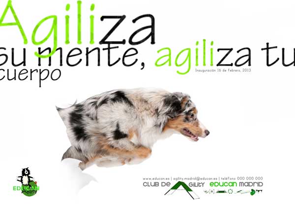 El Club de Agility EDUCAN Madrid se inaugurará el próximo 16 de febrero. Si deseas asistir a la fiesta de inauguración, sólo es necesario reservar plaza antes del 11 de febrero.