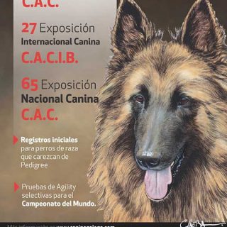 Exposición Internacional y Nacional Canina Vigo 2013, programa completo de actividades, horarios por razas, cómo llegar...