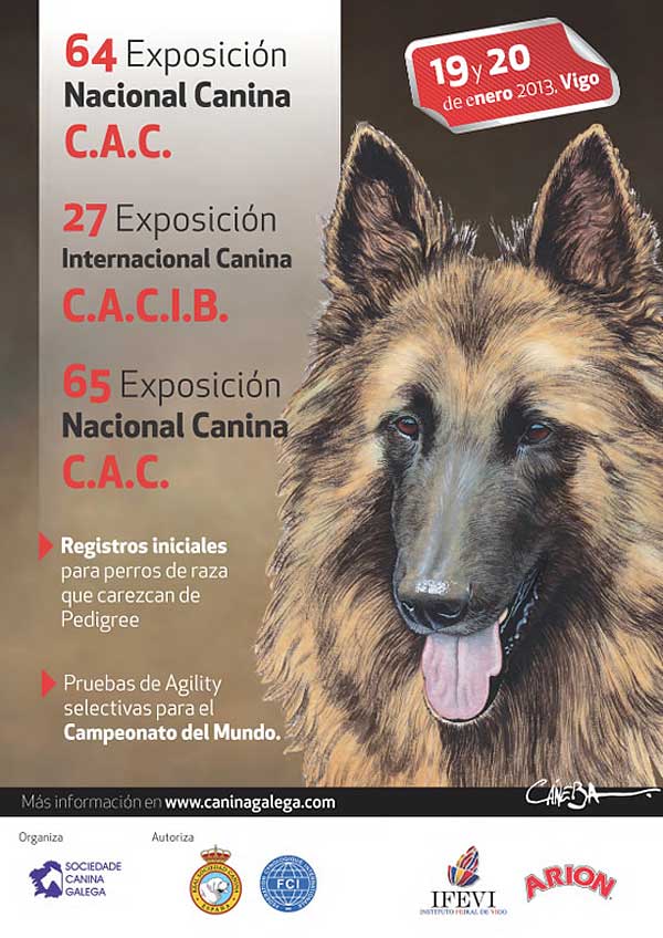 Exposición Internacional y Nacional Canina Vigo 2013, programa completo de actividades, horarios por razas, cómo llegar...