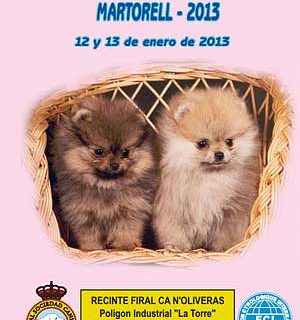 82 Exposición Canina Internacional Barcelona 2013, próximo fin de semana.