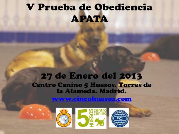 V Prueba de Obediencia -OCI APATA, en las instalaciones del Centro Canino Cinco Huesos.