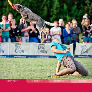 AEDNews. Revista de la Asociación Española de Dog Frisbee, descarga gratuita.