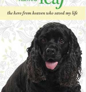 La historia real de Allen Anderson y cómo su perro Leaf le salvó la vida.