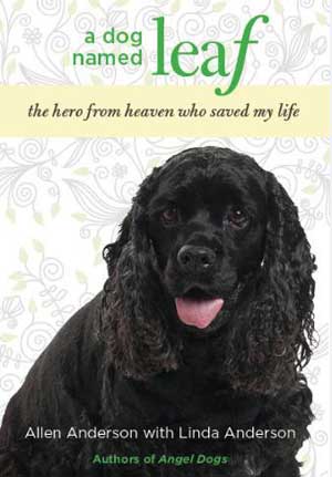 La historia real de Allen Anderson y cómo su perro Leaf le salvó la vida.