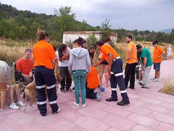 Proyecto “Un perro-un ciudadano”, una novedosa forma de apoyar a los enfermos con demencia precoz hasta el Alzheimer.