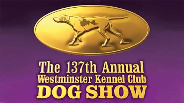 Westminster Kennel Club 2013, llega la 137 edición de una de las exposiciones más ¿prestigiosas?
