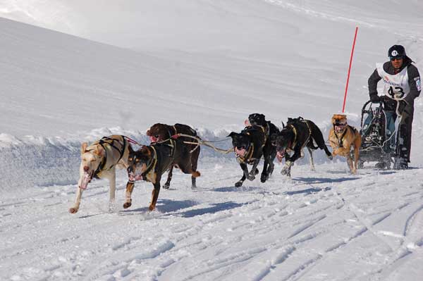 Campeonato de España Mushing Nieve, primera etapa.