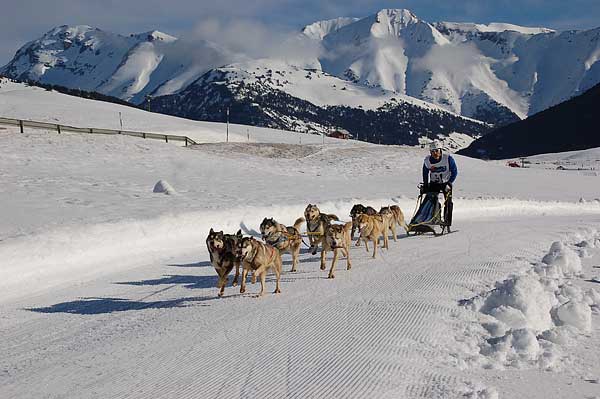 Campeonato de España de #Mushing Nieve, Gran Premio #Advance, Final: Vallespí, Ozcoidi y Claverol nuevos campeones de España 2013.