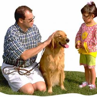 Estudio demuestra los beneficios de los perros en los hogares con niños autistas. #perro #autismo.