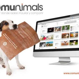 Affinity crea Comunimals, la primera comunidad online pensada para perros y gatos.