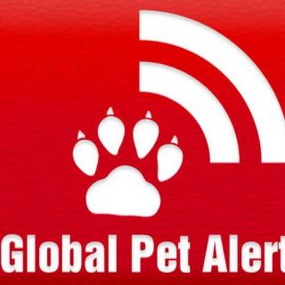 Global Pet Alert, una app imprescindible (perros perdidos y encontrados con geolocalización). #app #perros #android.