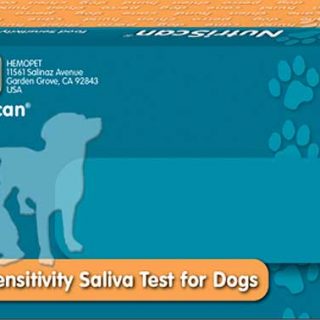 Una simple prueba de saliva permite identificar sensibilidades y alergias de los perros a determinados alimentos.