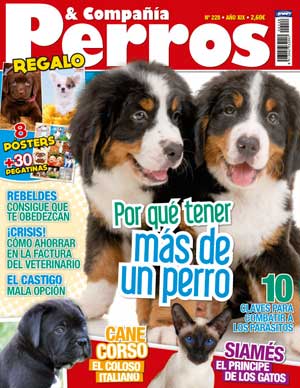 Revista #Perros y Compañía, mayo 2013: Cane corso, hogares multi perro, ahorrar en el veterinario...