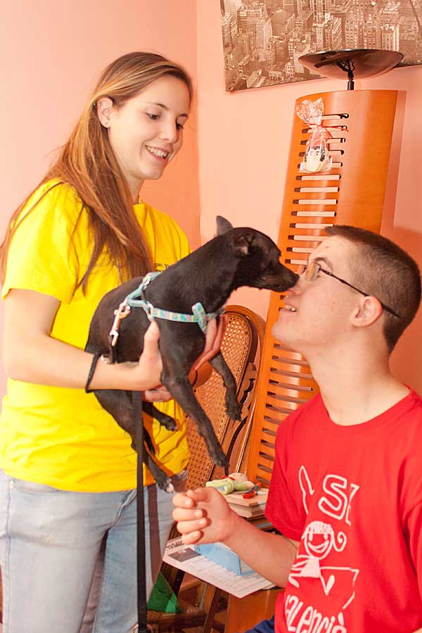 ¿Un amigo en casa?, el nuevo proyecto de voluntariado social de la Protectora de Alcoy con perros abandonados.