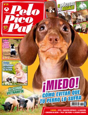 Revista #PeloPicoPata, mayo 2013: #perros y bebés, la agresión en los perros, alimentación sana y natural para perros y gatos, futuro para perros desahuciados, héroes de nariz húmeda, enseñar "suéltalo", otitis en perros (veterinaria)...