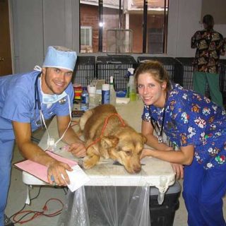 La hipotermia es una complicación frecuente en las anestesias en #perros. #Veterinaria.