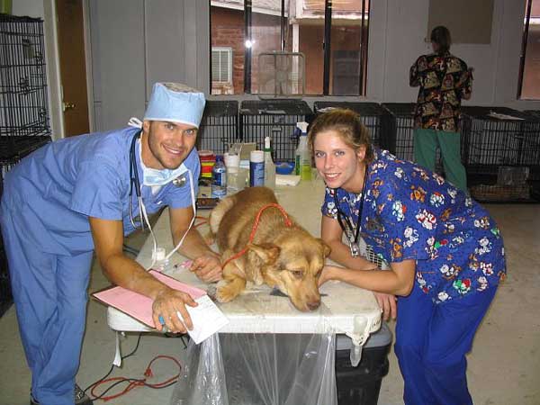 La hipotermia es una complicación frecuente en las anestesias en #perros. #Veterinaria.