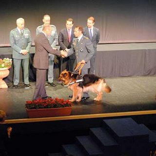 Un perro de la Guardia Civil recibe la medalla más importante que se concede a un animal por actos de valentía.