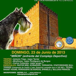 XXV Exposición Canina Internacional y XXVIII Exposición Canina Nacional de Medina de Pomar, próximo fin de semana.