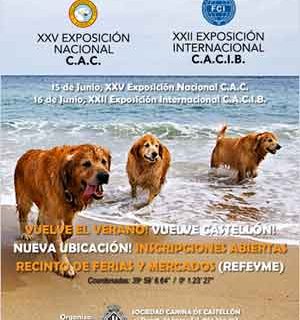15 y 16 de junio: Exposición Canina Nac/Internacional de Castellón.