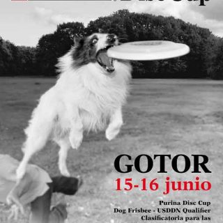 Gotor Dog Party: Purina Disc Cup en Gotor.