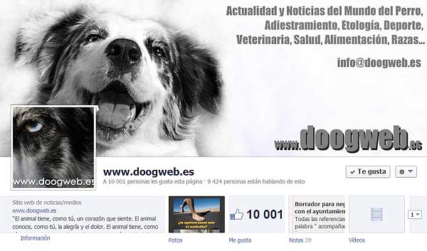 ¿Quieres conocer las cifras de doogweb? ¡Ya somos 10.000 "doogweber@s"! ¡Gracias!