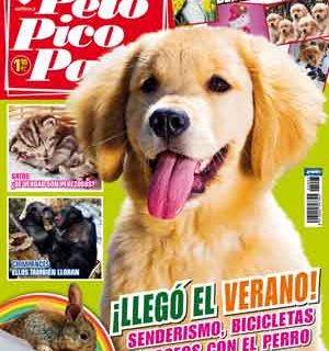 Revista Pelo Pico Pata julio: paseadores de perros, perros adolescentes, parques caninos, bicicletas y senderismo con perros, la angustia en los perros, ¿por qué tiran de la correa?