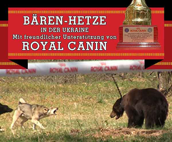 Tras las duras críticas por el patrocinio de Royal Canin Ucrania a las peleas de osos con perros, Royal Canin emite este comunicado.