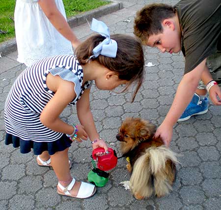 Niños con miedo a los perros, un estudio piloto encuentra una manera para superarlos.