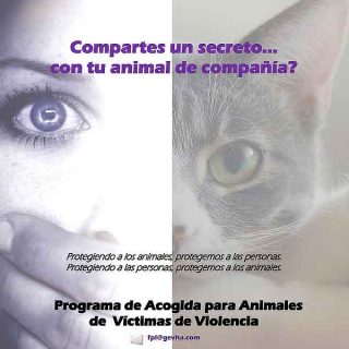 Freedom Paws Link: programa de acogida para las mascotas de personas víctimas de violencia de género.