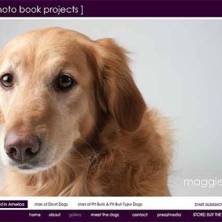 PhotoBook projects. Supervivientes de granjas de cachorros.