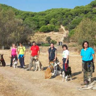 Senderismo con #perros por el valle del Tiétar, socialización y modificación de conductas aprovechando la Naturaleza.