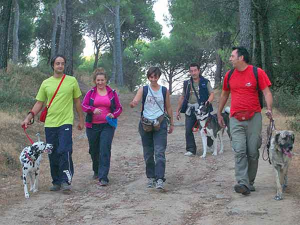 Senderismo con #perros por el valle del Tiétar, socialización y modificación de conductas aprovechando la Naturaleza.