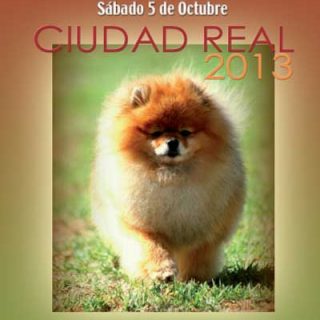 VII Exposición Canina Internacional de Ciudad Real, próximo fin de semana.