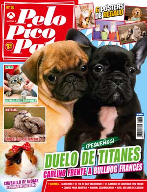 Revista Pelo Pico Pata septiembre 2013: Bulldog francés y carlino como razas principales, Ajax el perro de la Guardia Civil condecorado, Claves para adoptar un perro (o un gato), Aprender de los perros...