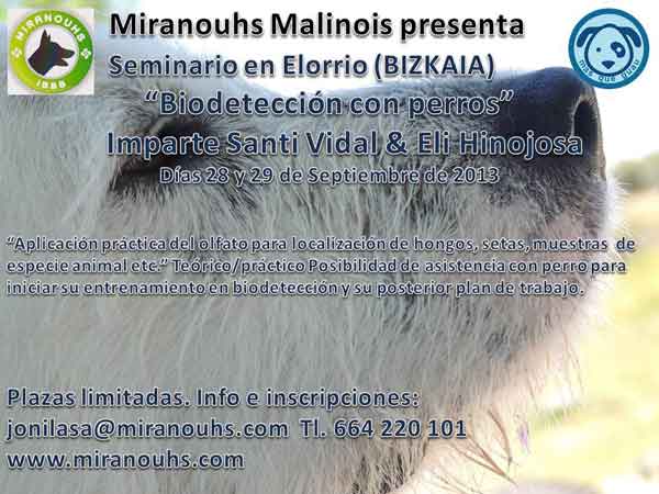 Miranouhs Malinois y Más que Guau organizan el seminario Biodetección con perros (setas, trufas, cualquier especie animal...). 28 y 29 de septiembre en Elorrio. 