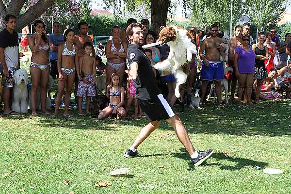 Salpican, pis. piscina para perros por un día, en imágenes. Así ha sido.
