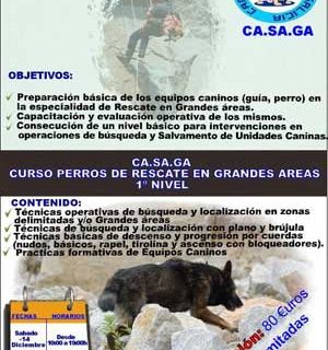 Curso de perros de rescate en grandes áreas. CASAGA.