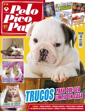 Pelo Pico Pata, octubre 2013: Perros héroes, limpio en casa, golden Vs labrador...