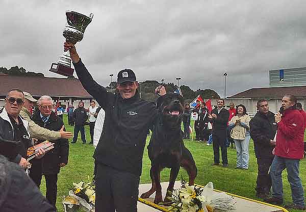 El perro danés Stormhaus Cronus se alza en la Feira Internacional de Galicia como Campeón del Mundo de Rottweiler 2013 en la modalidad de trabajo.