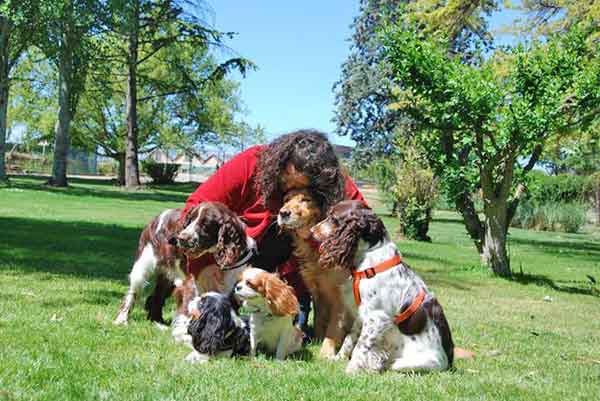 El CAP Bordeta-Magraners, será el primero de toda España en ofrecer terapia asistida con perros.