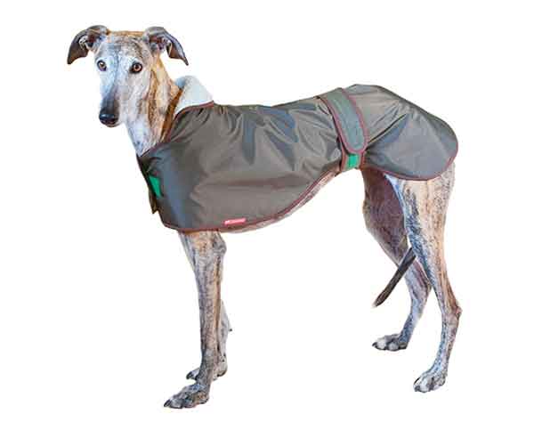 Collares Martingale para galgos, abrigos para galgos y mucho más en La Tienda del Galgo.