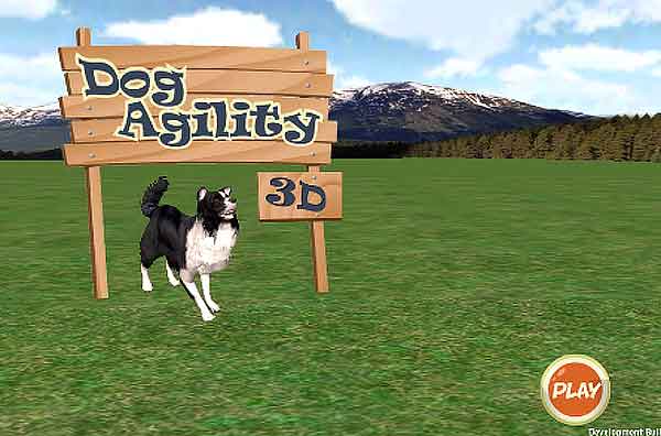 Dog Agility 3D: #App de agility para smartphones.