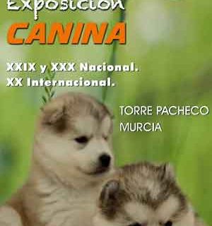 Exposición Canina Nacional/Internacional de Murcia
