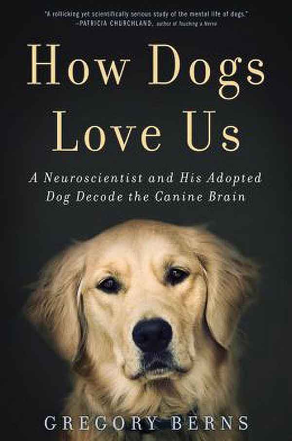 Sí, los perros tienen emociones como las humanas: El esperado libro del experimento de Gregoy Berns con su perro Callie en la Universidad de Emory lo demuestra.
