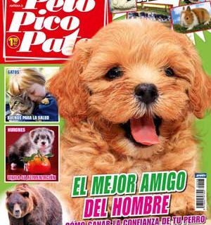 Revista Pelo Pico Pata de diciembre: Perrotón 2013, como razas especiales Jack Russell Terrier Vs Parson Russell Terrier, la confianza entre amos y perros, televisión para perros, 3 cosas que no hacer con un cachorro.