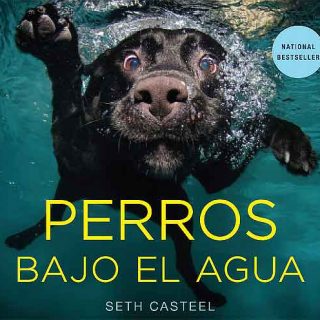 Perros bajo el agua (versión para España de Underwater dogs), el libro de Seth Casteel, ya está disponible.