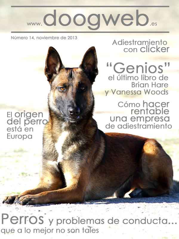 Revista de descarga gratuita doogweb nº 14:  Cómo rentabiliizar una empresa de adiestramiento, Cava-Poo-Chon: El perro "siempre cachorro", El adiestramiento con clicker como medio, no como fin, Según la UCLA, los primeros perros provienen de Europa, El ejercicio en los perros es (casi) siempre positivo ¿no?, Perros con problemas de conducta..., Jesús Rosales-Ruíz (ABA y CAT, pero no todo son siglas), Cómo evitar una pelea de perros, 10 razones por las que tu perro no te hace caso...