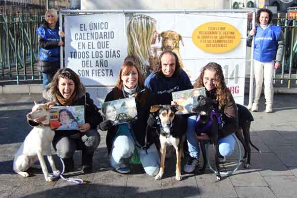 Tres perros adoptados presentan el único calendario del mundo en el que todos los días del año son fiesta. Con El Refugio.